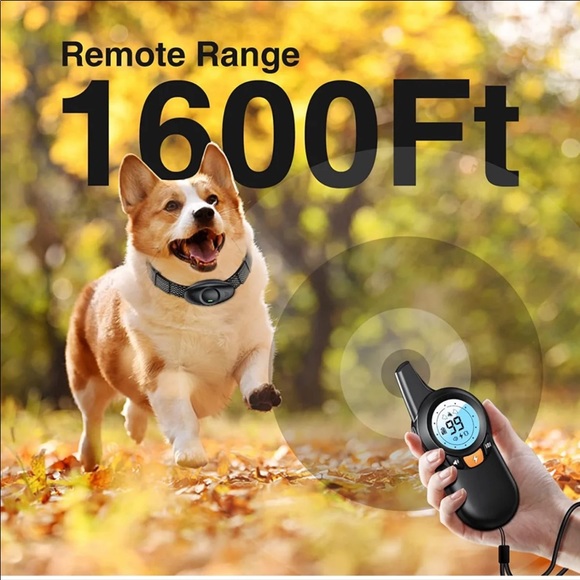 Waterproof Dog Training Collar, Rechargeable Shock Collar for Medium, Large Dogs - Picture 5 of 12